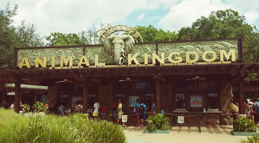 Tink in the Parks: Monkeying Around Animal Kingdom